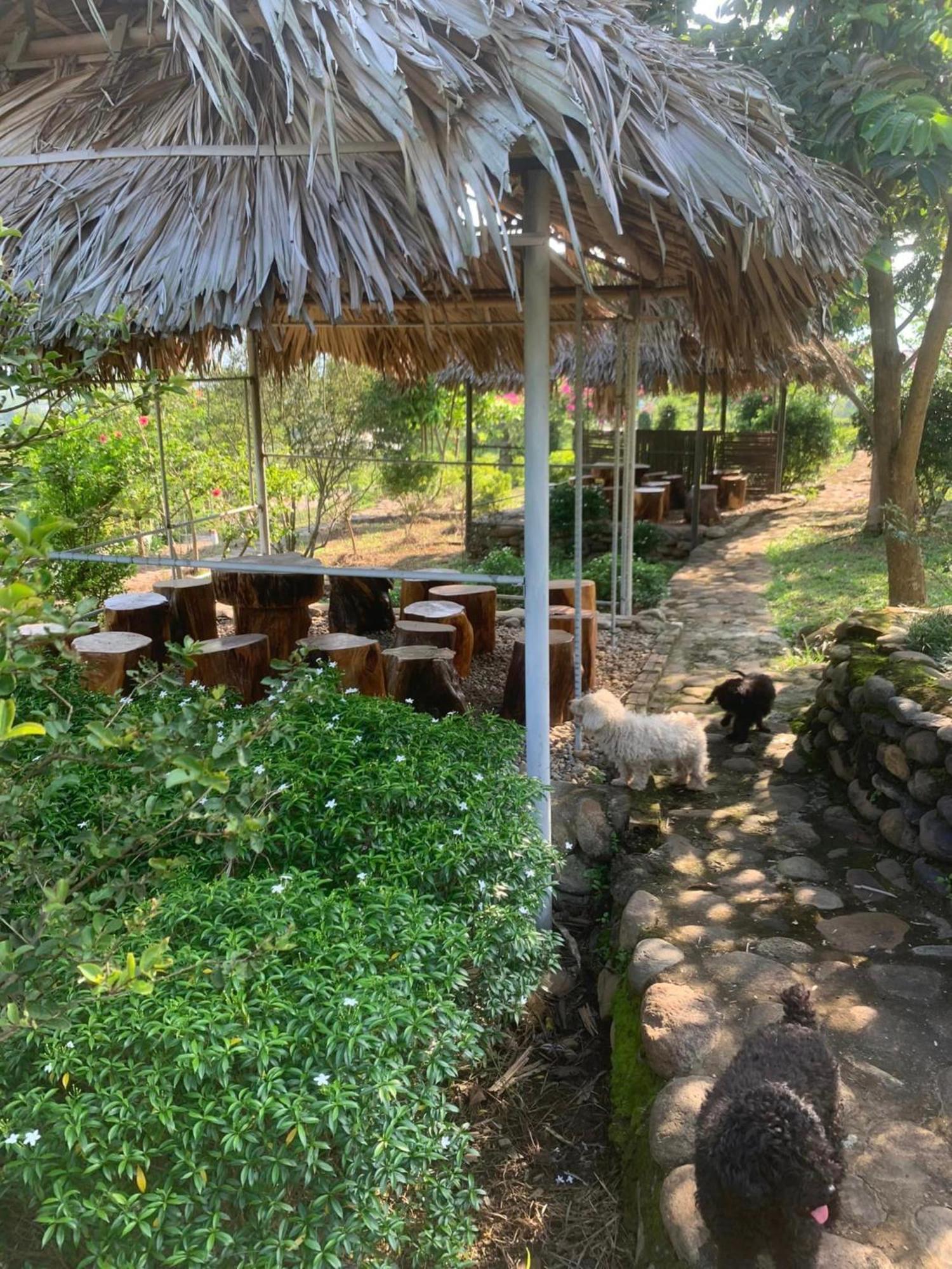 Homestay Nha Cua Mi - Mi'S House Yen Bai Exterior photo