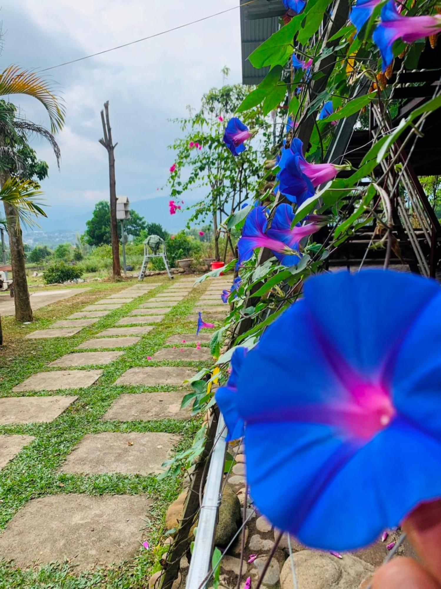 Homestay Nha Cua Mi - Mi'S House Yen Bai Exterior photo